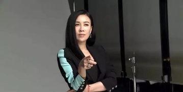 那英事件视频在线观看,网络热议背后的真相揭晓 第1张 那英事件视频在线观看,网络热议背后的真相揭晓 第1张